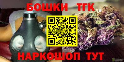 соль ск Кулебаки