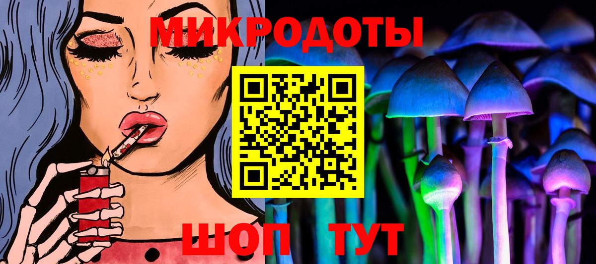 Псилоцибиновые грибы GOLDEN TEACHER Дмитров
