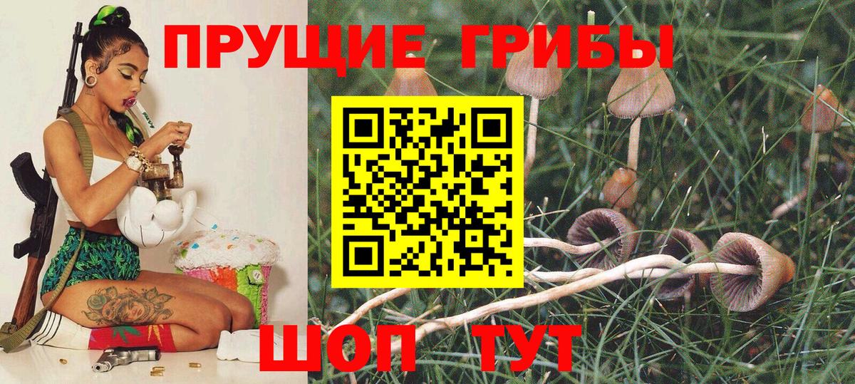 Псилоцибиновые грибы Magic Shrooms  Галлюциногенные грибы мицелий  Вход с VPN  закладки  Дмитров 